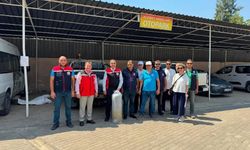 Aydın'da 535 bin sazan yavrusu suyla buluştu