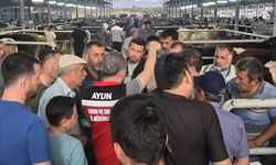 Aydın'da hayvan pazarlarında sıkı kontroller devam ediyor