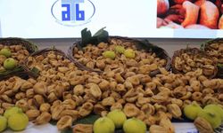Aydın'da Kuru İncirin İlk Alım Fiyatı 850 TL