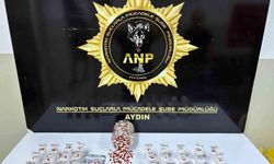 Aydın'da uyuşturucu baskını: 2 bin 456 sentetik hap ele geçirildi