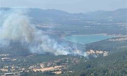 Ayvacık'ta çıkan yangına havadan ve karadan müdahale sürüyor