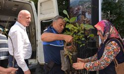 Babadağ Belediyesi çiftçilere ceviz fidanı dağıtıyor