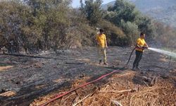 Bafa Mahallesi'nde tarım arazisindeki yangın kontrol altına alındı