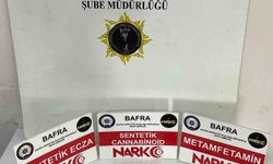 Bafra'da uyuşturucu baskını: 2 şüpheli tutuklandı