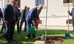 Bakan Bolat, Bilecik'te adını taşıyan çınar fidanını dikti
