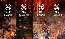Bakan Yumaklı: 'Orman yangınları için tehlikeli 3 gün'