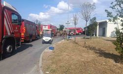 Bakırköy Hastanesi Bahçesinde Yangın Paniği