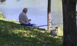 Balık Avlayan Adamın Yanından Ayrılmayan Sokak Kedisi