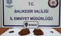 Balıkesir Gönen'de Bonzai Operasyonu: Bir Kişi Tutuklandı
