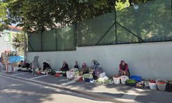Bamyanın Fiyatı Boyutuna Göre Değişiyor
