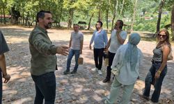 Bartın'da buzağı hediyeli bal festivali
