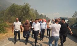 Başkan Ertaş: 'Kadıköy'deki yangın, ekiplerimizin özverili müdahalesiyle söndürüldü'