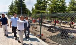 Başkan Hakan Şehirli, Hayvan Bakımevi'ni İnceledi