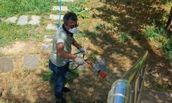 Bayburt'ta haşereyle mücadele ve temizlik seferberliği devam ediyor