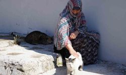 Bayburt'ta sokak hayvanlarına yıllardır sahip çıkan kadın, 10 yıl baktığı kedisini kaybetti: 'İki gün boyunca ağladım'