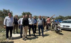 Bayındır'daki orman yangını söndürüldü