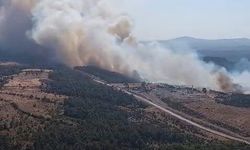 Bayramiç'teki orman yangını havadan görüntülendi