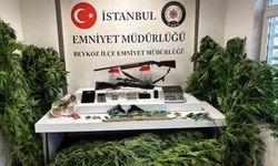 Beykoz'da uyuşturucu baskını: 117 kök hint keneviri ve silahlar ele geçirildi