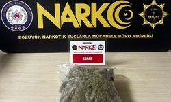 Bilecik'te uyuşturucu baskını: 2 kişi yakalandı