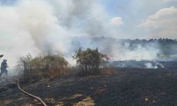 Bilecik'te yangın felaketi: 30 dönümlük buğday tarlası küle döndü