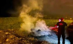 Bilecik'te yol kenarındaki çöp yandı
