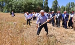 Binali Yıldırım Beşpınar Köyü'nde Harman Şenliği'ne Katıldı