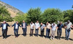 Bingöl'de asırlık Ömer Dede geleneği binlerce katılımcıyı buluşturdu