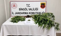 Bingöl'de hapis cezası bulunan 6 zanlı jandarma tarafından yakalandı