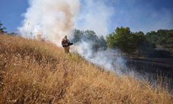 Bingöl'de mera yangını söndürüldü