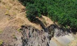 Bingöl'de nadir görülen dağ keçisi dronla kaydedildi