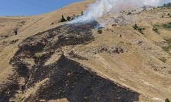 Bitlis'te örtü yangını kontrol altına alındı