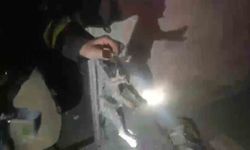 Bodrum katındaki yangında iki yavru kedi kurtarıldı