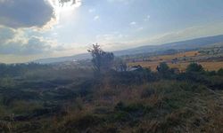 Bolu'da anız yangını korku yarattı, ağaçlık alana ulaşmadan söndürüldü