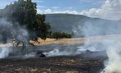 Bolu'da balya makinesinden çıkan kıvılcımlar alevlere neden oldu