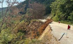 Bolu'da heyelan nedeniyle Taşkesti-Abant yolu kapanmaya devam ediyor