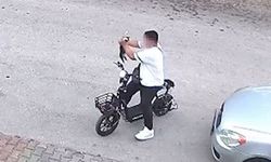 Bolu'da yavru kediyi öldüren otizmli çocuk serbest bırakıldı