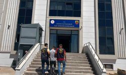 Bozova'da Hırsızlık Suçundan Aranan Hükümlü Ele Geçirildi