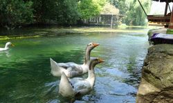 Bucak Vadisi, doğa tutkunlarının yeni gözdesi oldu