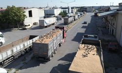 Buğday Pazarında Güvercinlerin Payı Büyük