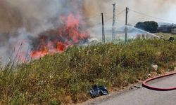 Burhaniye'de çıkan ot yangını, karayolu trafiğini olumsuz etkiledi