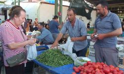 Burhaniye'de Organik Ürün Pazarı Açıldı