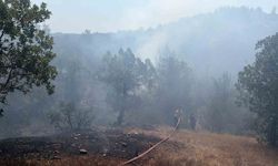Bursa'da orman yangınına acil müdahale