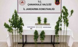 Çanakkale'de Uyuşturucu Operasyonlarıyla 7 Şüpheli Yakalandı