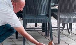 Çay Bahçesinde Sincaba Eliyle Besleme Anı
