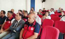 Çay ilçesinde kamyon kazasında 4 kişi yaralandı
