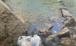 Çermik'teki piknik alanında çöpler tepki topladı