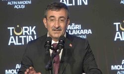 Cevdet Yılmaz: 'Ağrı Mollakara Altın Madeni, 5 Yılda 17 Ton Altın Üretecek'