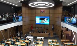 CHP'li Sibel Tan Çetinkaya Üsküdar Başkanvekili Oldu