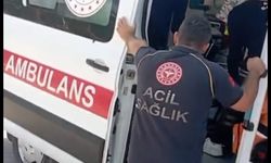 Cide'de denizde boğulma tehlikesi atlatan aile kurtarıldı