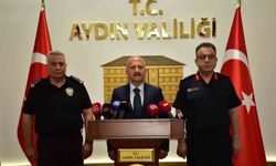 Çine'deki orman yangını soruşturmasında 2 gözaltı